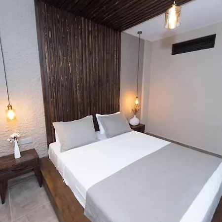 Otel Enso Köyıçı *