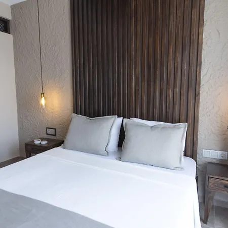 Enso Koyici מלון